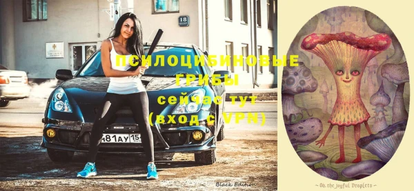 дурь Корсаков