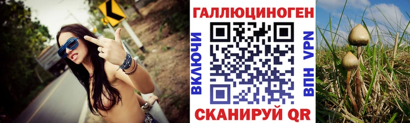 Купить где  Волгореченск  Галлюциногенные грибы Cubensis 